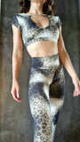 Set You Versatile - Grey Leo faded
